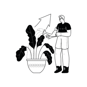 IN-Our simplified E-commerce ecosystem